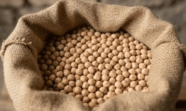 Chickpeas