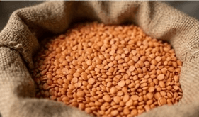 Split Red Lentils